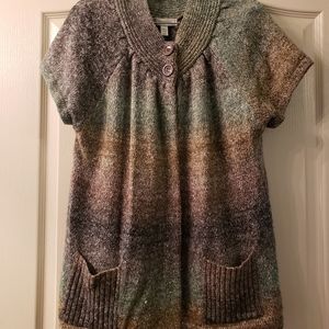 Dress Barn Verigated Sweater